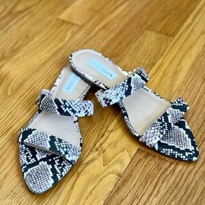 Steve Madden Black and White Snake Print Women's Shoes